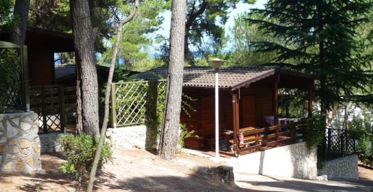 Camping Villaggio Internazionale